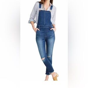 MADEWELL Roadtripper Overalls Denim Skinny Ripped Raw Hem Distressed size M